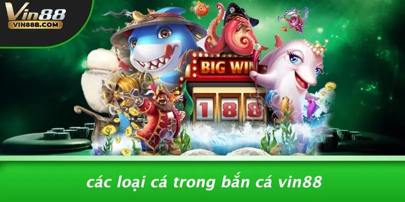 Các Loại Cá Trong Bắn Cá VIN88