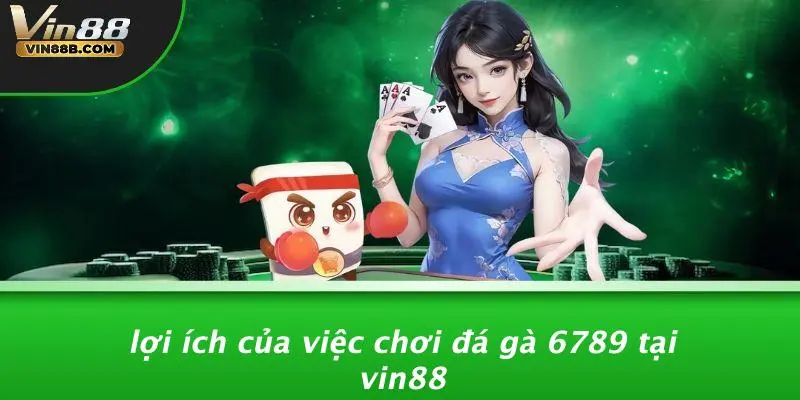 Lợi Ích Của Việc Chơi Đá Gà 6789 Tại VIN88